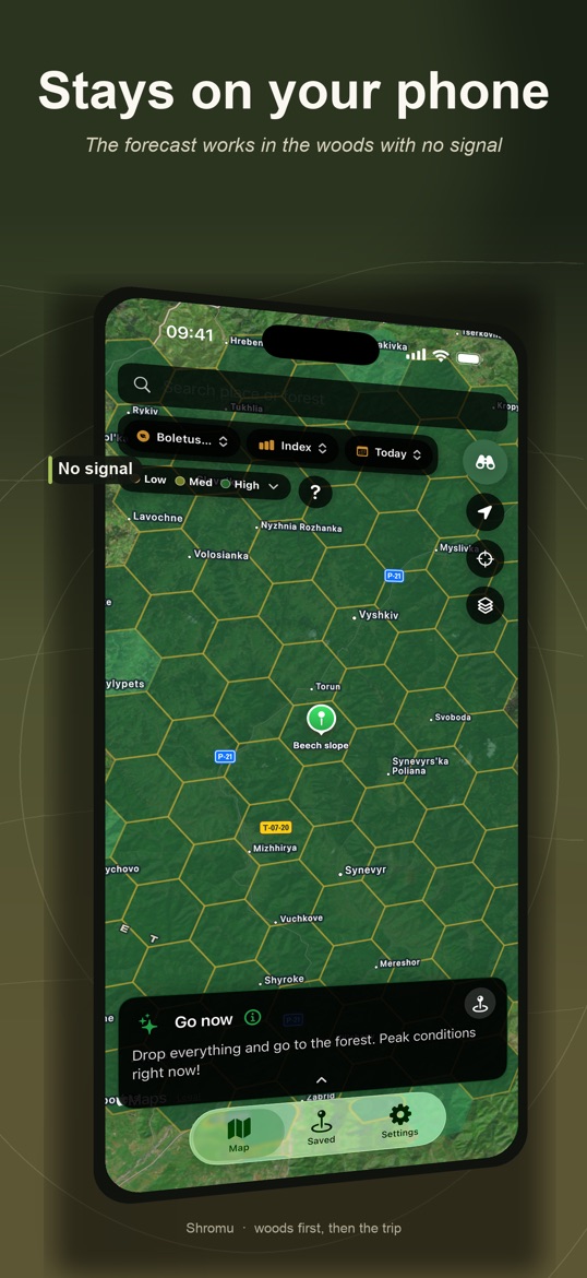 Offline map, headline: Stays on your phone
